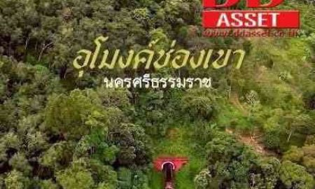 ขายที่ดิน - ขายที่ดินติดถนนเอเซีย 5-3-5 ไร่ จ.นครศรีธรรมราช ช่องเขาถ้ำใหญ่