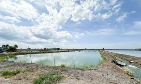 ขายที่ดิน - ขายที่ดินเปล่า สุพรรณบุรี 6 ไร่ 3 งาน 72 ตร.ว ติดถนนสาธารณะประโยชน์ ห่างถนนใหญ่ประมาณ 1.2 กม