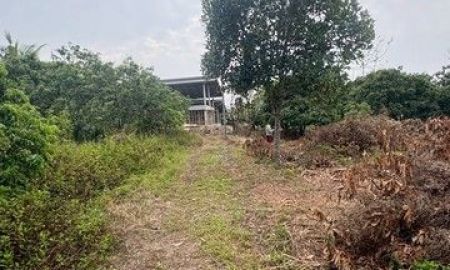 ขายที่ดิน - ขายที่ดินเปล่า บ้านป่าเหว ตำบลอุโมงค์ อำเภอเมือง จังหวัดลำพูน