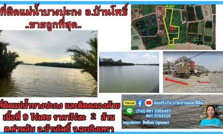 ขายที่ดิน - ขายที่ดินติดแม่น้ำบางปะกง 9 ไร่เศษ (ถมแล้วบางส่วน) ต.ท่าพลับ อ.บ้านโพธิ์ จ.ฉะเชิงเทรา