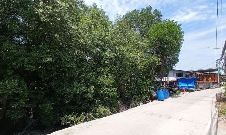 ขายที่ดิน - ขายที่ดิน 4 ไร่ 29 ตารางวา ซอยเทศบาลคลองด่าน 8/5 ตำบลคลองด่าน อำเภอบางบ่อ จังหวัดสมุทรปราการ