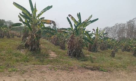 ขายที่ดิน - ขายที่ดินตำบลสันทรายหนองหารห่างโรงพยาบาลเพียง 5 กม