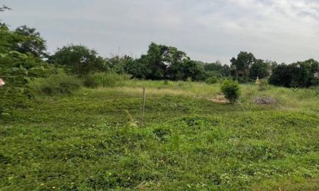 ขายที่ดิน - ขายที่ดินโคกไม้ลาย 1 ไร่ ใกล้ถนนสุวรรณศรสายเก่า3649-100เมตร อ.เมืองปราจีนบุรี