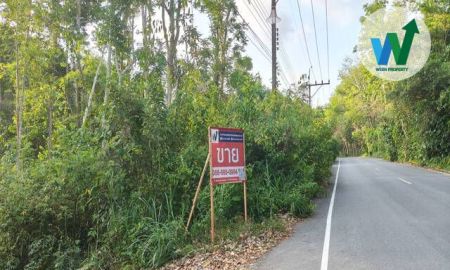 ขายที่ดิน - ขายด่วนที่ดินติดถนนสายสามแยกศาลาหัวไส-ไทรงาม อำเภอควนขนุน