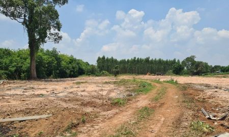 ขายที่ดิน - ขายที่ดินราคาถูก 32-1-66 ไร่ ต.บ้านซ่อง อ.พนมสารคาม จ.ฉะเชิงเทรา เหมาะทำการเกษตรกรรมหรือ ที่พักอาศัย