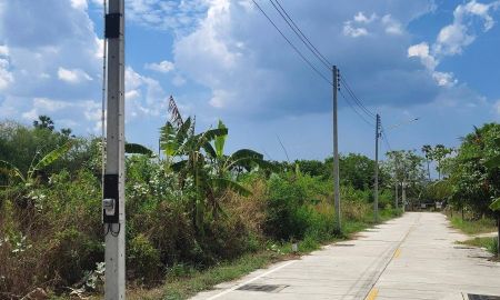 ขายที่ดิน - ขายที่ดินซอยหลังโรงเรียนวัดนาป่าเนื้อที่ 1 ไร่ ใกล้ถนนเส้นเลี่ยงเมือง361-1.5กม. อ.เมืองชลบุรี