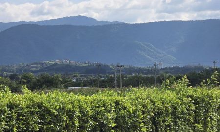 ขายที่ดิน - ที่ดินเขาใหญ่ ตำบลโป่งตาลอง วิวเทือกเขาเต็มตา ตื่นเช้ามาพร้อมอากาศบริสุทธิ์ในทุกวัน 177 ตรว. 3.5 ล้านบาท