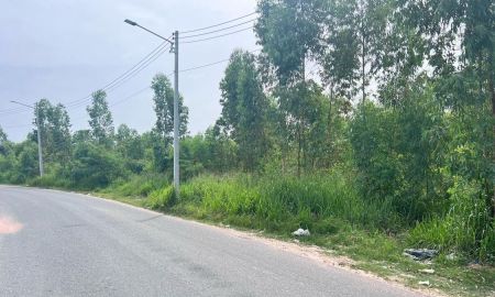 ขายที่ดิน - ขายที่ดินหนองปรือ พัทยาเนื้อที่ 34 ไร่ ติดถนนซอยทุ่มกลมตาลหมัน13 ใกล้หมู่บ้านช้าง1กม. อ.บางละมุง ชลบุรี