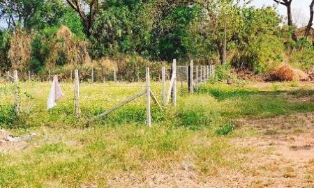 ขายที่ดิน - ขายที่ดินตำบลป่าแดดป่าพร้าวนอกโฉนดพร้อมโอน