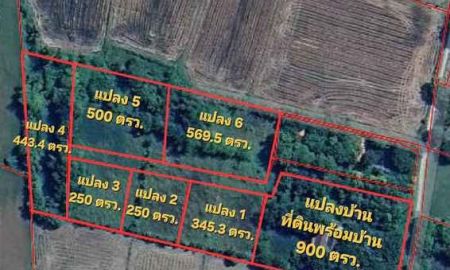 ขายที่ดิน - ขายที่ดินพร้อมสิ่งปลูกสร้าง วิวเขาใหญ่ ต.เขาพระ เมืองนครนายก เริ่ม 250 ตรว. 1 ไร่กว่า วิวภูเขา ราคาขายเริ่มต้น 1,312,500 บาท