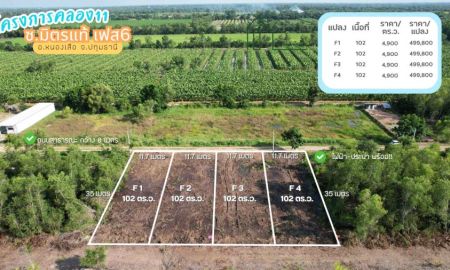 ขายที่ดิน - ที่ดินคลอง 11 เหมาะสำหรับทำบ้านสวนเกษตร หนองเสือ ปทุมธานี