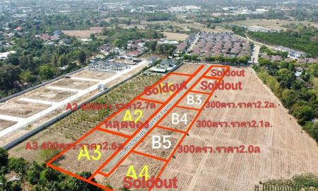 ขายที่ดิน - ขายถูกมาก!! ที่ดินแบ่งแปลง 3งาน-1ไร่ ทำเลทอง อ.นางรอง จ.บุรีรัมย์ 4นาทีถึง รพ.นางรอง ใกล้ตลาด โลตัส