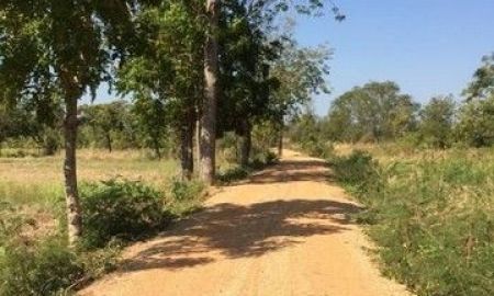 ขายที่ดิน - ขายที่ดินที่นา 7ไร่95ตรว. 1.1ลบ. หลังบ้านหนองบัวขาว-โนนกอก ใกล้ ถ.ชัยภูมิ-บ้านเขว้า ต.รอบเมือง อ.เมือง ชัยภูมิ