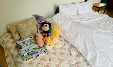 ขายบ้าน - ขายบ้านสวนวิวดอยหลวงเชียงดาวโฉนดพร้อมโอน