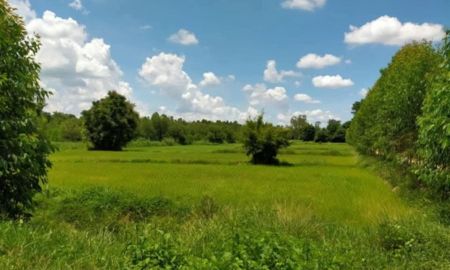 ขายที่ดิน - ขายที่ดินเขาหินซ้อน 5 ไร่ ติดถนนลาดยาง ใกล้ถนนเส้น304-5กม. อ.พนมสารคาม ฉะเชิงเทรา