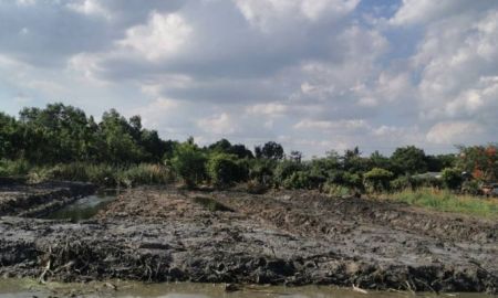 ขายที่ดิน - ขายที่ดินเปล่า 1-2-14 ไร่ ลำลูกกา คลอง 13 สายกลาง ใกล้แหล่งชุมชน เข้าซอยเพียง 400 ม.