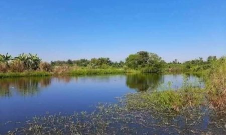 ขายที่ดิน - ขายที่ดินตำบลมะขุนหวานหางดงติดน้ำสามด้านพร้อมโอน