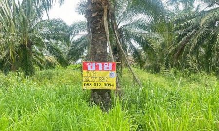 ขายที่ดิน - ขายที่ดิน 15 ไร่ เขาคันทรง ศรีราชา ชลบุรี ใกล้ อบต.เขาคันทรง ZT912