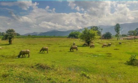 ขายที่ดิน - ขายที่ดินเปล่า(วิวทุ่งนา) 1,587-3-19 ไร่ ต.แม่นะ อ.เชียงดาว จ.เชียงใหม่