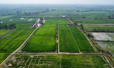 ขายที่ดิน - ขายที่ดินเปล่า 2,132-3-47 ไร่ ต.หัวง้ม อ.พาน จ.เชียงราย