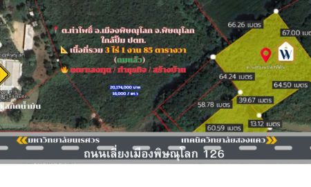 ขายที่ดิน - ขายที่ดินถมแล้ว พิษณุโลก เส่นเลี่ยงเมือง ใกล้ มหาวิทยาลัย เหมาะกับการลงทุน