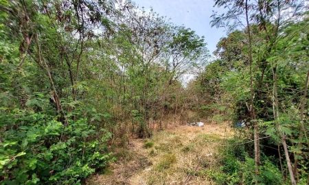 ขายที่ดิน - ขายถูกที่ดินคลองหก 2 ไร่ 2 งาน ติดถนนคอนกรีตสาธารณะ ซอย คลองหก ตต.31 อ.คลองหลวง จ.ปทุมธานี