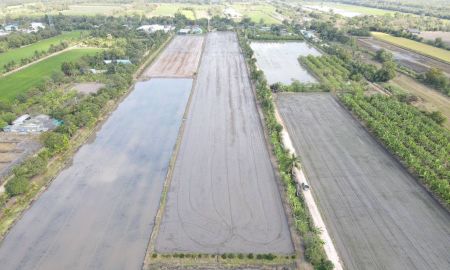 ขายที่ดิน - ที่ดินเหมาะทำบ้านสวนเกษตร คลอง 11 อ.หนองเสือ จ.ปทุมธานี แบ่งล็อกละ 1 ไร่มี 5 แปลง ราคาไร่ละ 750,000 บาท