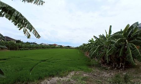 ขายที่ดิน - ขายที่ดิน 12 ไร่ (4,800 ตารางวา) ตำบลบ้านใหม่(บางคูรัด) อำเภอบางใหญ่ จังหวัดนนทบุรี