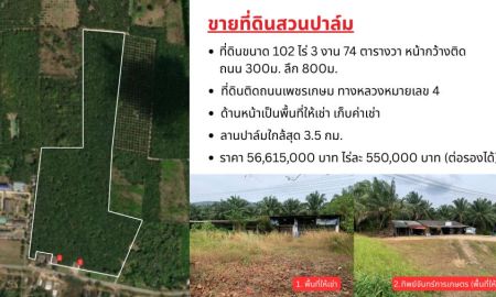 ขายที่ดิน - ที่ดินสวนปาล์ม 102 ไร่ 3 งาน 74 ตารางวา อ.กะเปอร์ จังหวัดระนอง