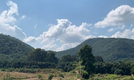 ขายที่ดิน - ขายที่ดินเปล่า 359-1-8 ไร่ (ต.มะกอก อ.ป่าซาง จ.ลำพูน)