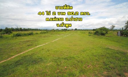 ขายที่ดิน - ขายที่ดิน ดอนตอง ผืนใหญ่ ต.แม่แรง อ.ป่าซาง จ.ลำพูน