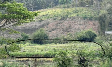 ขายที่ดิน - ขายที่ดิน อ.สะเมิง ต.แม่สาบ จ.เชียงใหม่ ราคาคุ้มค่า วิวิธรรมชาติ สนใจติดต่อได้ค่ะ