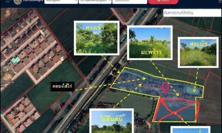 ขายที่ดิน - ขายที่ดินบ้านกร่าง พิษณุโลก ราคาถูก เหมาะสำหรับนักลงทุน สร้างบ้าน จัดล็อคแบ่งขาย