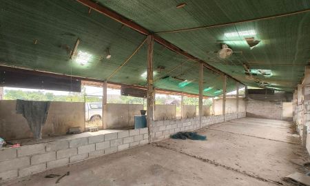 ขายที่ดิน - ขายที่สวนลำใยตำบลหนองตองหางดงห่างเทศบาล 3.7กม