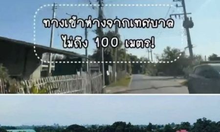 ขายที่ดิน - ขายที่ดินตำบลสันผักหวานหางดงข้างเทศบาลโฉนดพร้อมโอน
