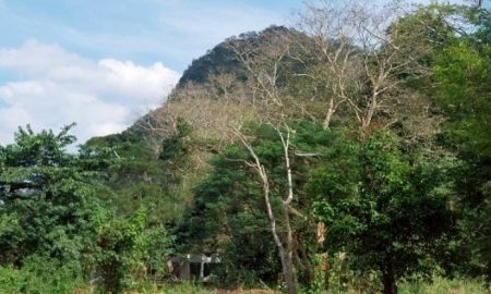 ให้เช่าที่ดิน - ให้เช่าที่ดินปากช่องทำเลดีติดวิวเขาใหญ่ 6 ไร่ ติดถนนธนรัตน์เส้น2090 ติดลำธารใกล้พรีโมเพียซซ่า-5กม. จ.นครราชสีมา