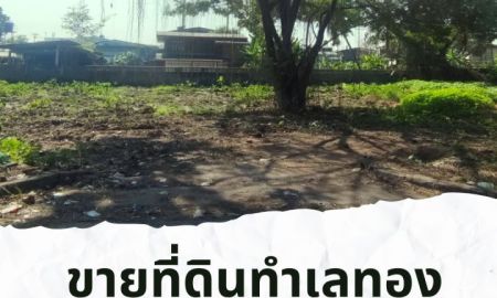 ขายที่ดิน - 5 นาที โลตัสคำเที่ยง ที่ดินใจกลางเมืองใกล้แม่น้ำปิง 298 ตร.วา ต.ป่าตัน อ.เมือง จ.เชียงใหม่