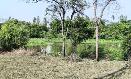 ขายที่ดิน - ที่ดินติดคลองธรรมชาติ วิวสวย ติดถนน เหมาะปลูกบ้าน ใช้ชีวิตยามเกษียณ