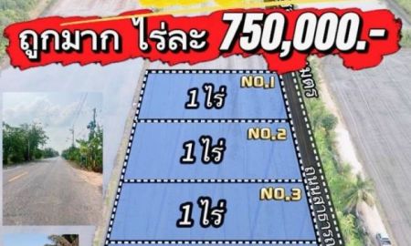 ขายที่ดิน - ที่ดินคลอง 11 ก่อนถึงวัดป่า รังสิต ปทุมธานี ไร่ละ 750,000.- มี 5 ไร่