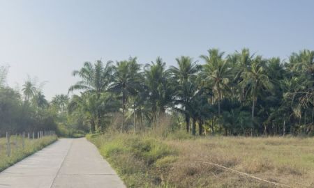 ขายที่ดิน - ขายที่ดินติดถนนคอนกรีด 1ไร่ อ.บางสะพาน จ.ประจวบคีรีขันธ์