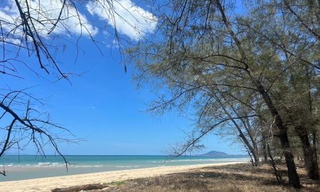 ขายที่ดิน - ขายที่ดินหาด บ้านกรูด หาดส่วนตัว เนื้อที่ 200 ตารางวา