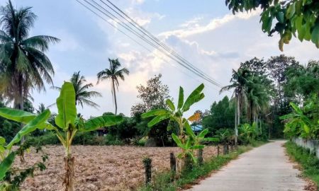 ขายที่ดิน - ที่ดินอยู่อาศัย แปลงสี่เหลี่ยมสวย โฉนด 1 ไร่เศษ ในชุมชน อ.ชำนิ บุรีรัมย์