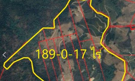 ขายที่ดิน - ขายที่ดินเชิงเขา 189-0-17 ไร่ (ต.ป่าตึง อ.แม่จัน จ.เชียงราย)