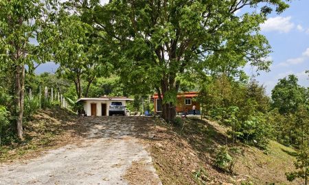 ขายที่ดิน - ขายด่วน บ้านสวน พร้อมทุเรียน 2 ไร่ วังน้ำเขียว ติดวัดป่าปฏิบัติธรรม ทำเลดี อากาศบริสุทธิ์