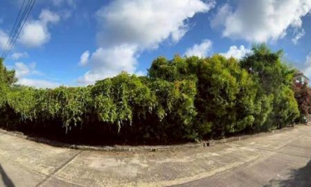 ขายที่ดิน - ขายที่ดินตำบลสุเทพในโครงการชญายลติดถนนพร้อมโอน