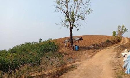 ขายที่ดิน - ขายที่ดินเปล่า 408-0-58 ไร่ (ต.ปอน อ.ทุ่งช้าง จ.น่าน)