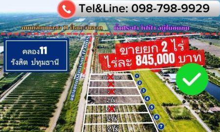 ขายที่ดิน - ที่ดินคลอง 11 หนองเสือ ปทุมธานี ซื้อยก 2 ไร่