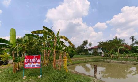 ขายที่ดิน - ขายที่ดินพร้อมสิ่งปลูกสร้าง ทำเลทอง ใกล้ถนนพุทธมณฑลสาย 7 และถนนบรมราชชนนี อำเภอสามพราน จังหวัดนครปฐม
