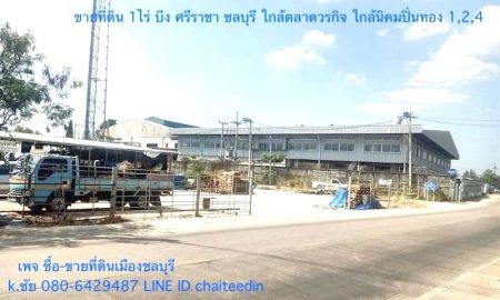 ขายที่ดิน - ขายที่ดินเนื้อที่ 1 ไร่ 31 ตรว.ตำบลบึง ศรีราชา ชลบุรี ใกล้นิคมปิ่นทอง 1,2,4 ใกล้ตลาดบึงวรกิจ ที่ดินเหมาะพัฒนาอสังหาริมทรัพย์ หอพัก,อพาร์ทเม้นท์