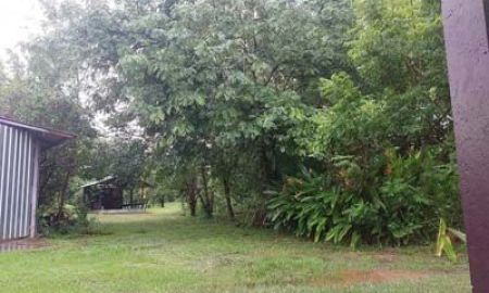 ขายที่ดิน - ขายที่ดิน ใกล้รร.นานาชาติเปรม ต.ห้วยทราย อ.แม่ริม เชียงใหม่ เป็นที่สวนเกษตร ปลอดสารพิษ มีผลไม้หลายชนิด